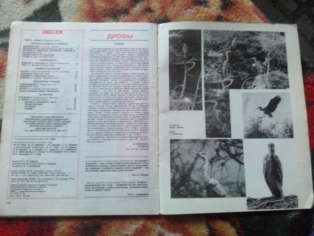Журнал Охота и охотничье хозяйство № 5 ( май ) 1995 г. ( Охотник ) 3
