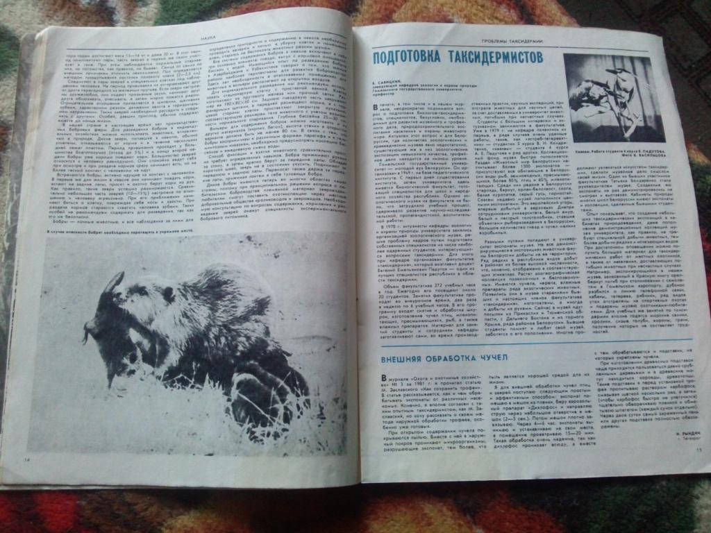 Журнал Охота и охотничье хозяйство № 10 ( октябрь ) 1983 г. ( Охотник ) 6