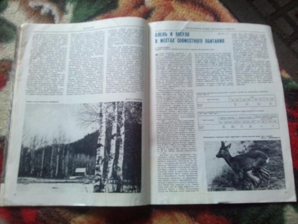 Журнал Охота и охотничье хозяйство № 10 ( октябрь ) 1983 г. ( Охотник ) 7