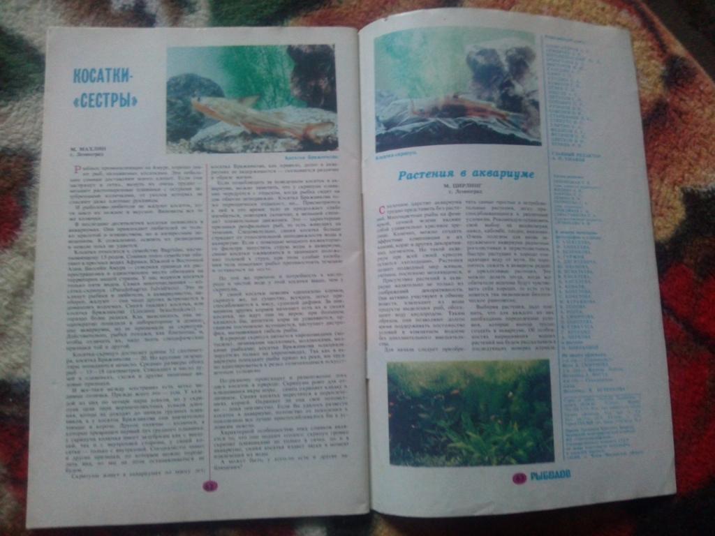 Журнал Рыболов № 5 (сентябрь - октябрь) 1988 г. (Рыбалка , рыболовство) 3