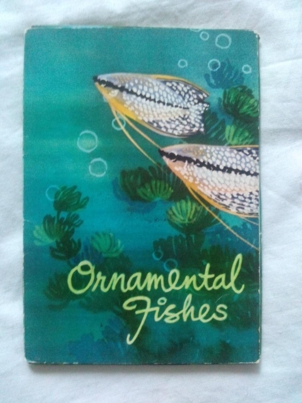 Вьетнам Аквариумные рыбки (80 - е годы) полный набор - 12 открыток (Аквариум)
