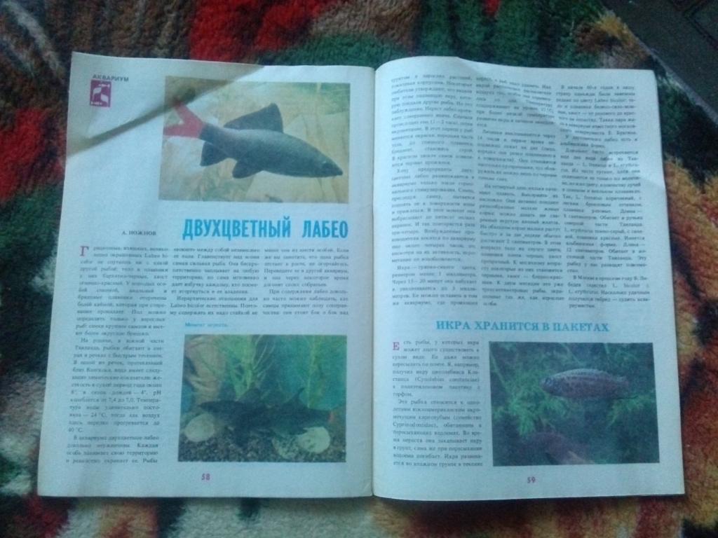 Журнал Рыболов № 5 (сентябрь-октябрь) 1991 г. (Рыболовство , рыбалка) 5