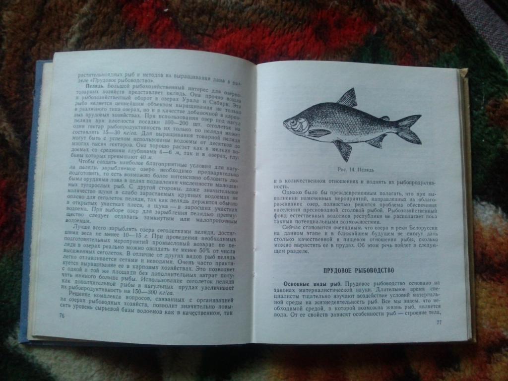 В.И. Беляев -Справочник рыболова1975 г. ( Рыбалка , рыболовство , спорт ) 6