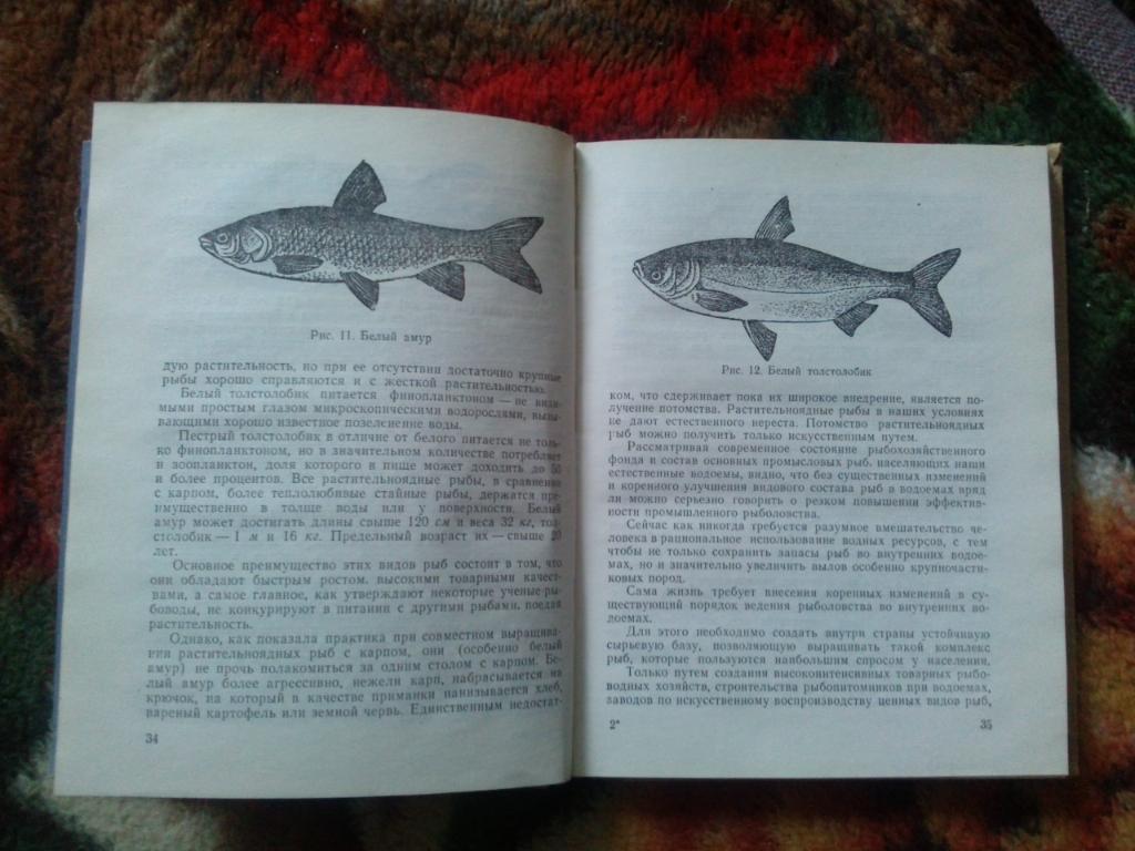 В.И. Беляев -Справочник рыболова1975 г. ( Рыбалка , рыболовство , спорт ) 7