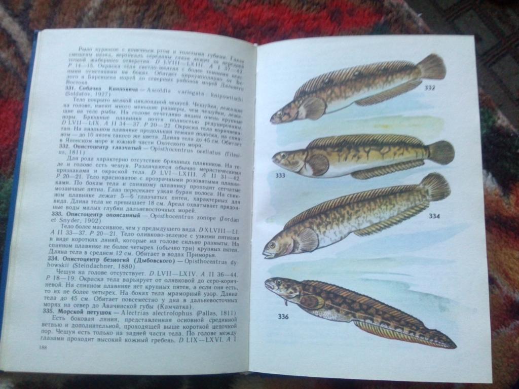 Н.А. Мягков - Атлас - определитель рыб 1994 г. (Рыба , фауна , рыбоводство) 3