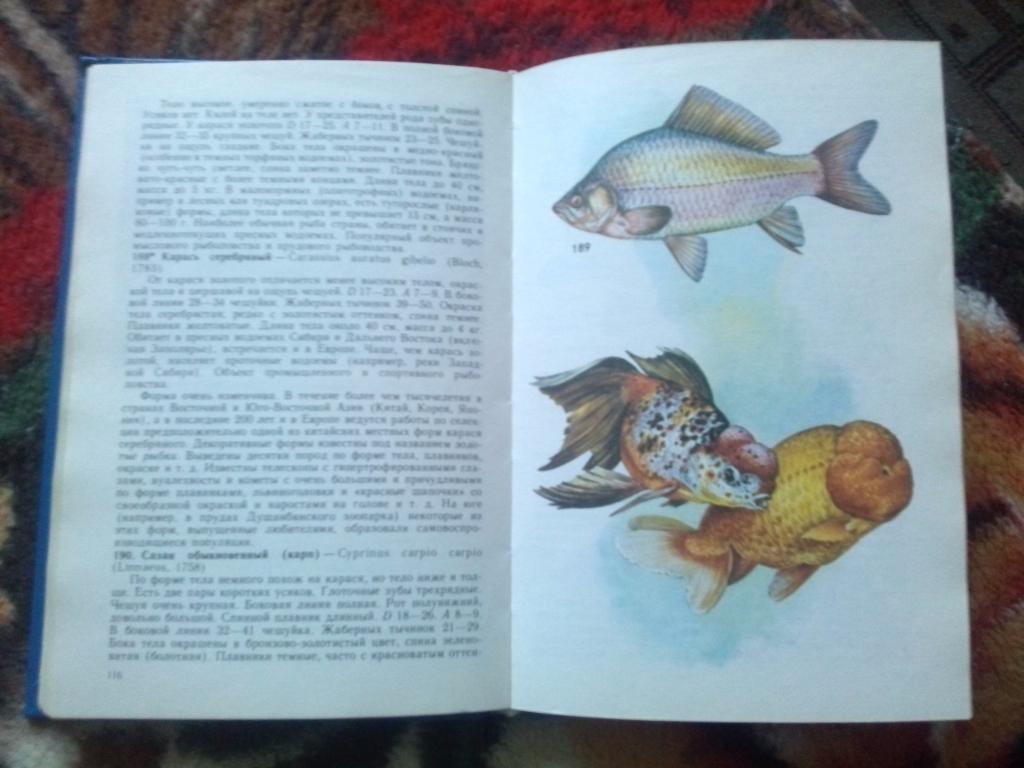 Н.А. Мягков - Атлас - определитель рыб 1994 г. (Рыба , фауна , рыбоводство) 7
