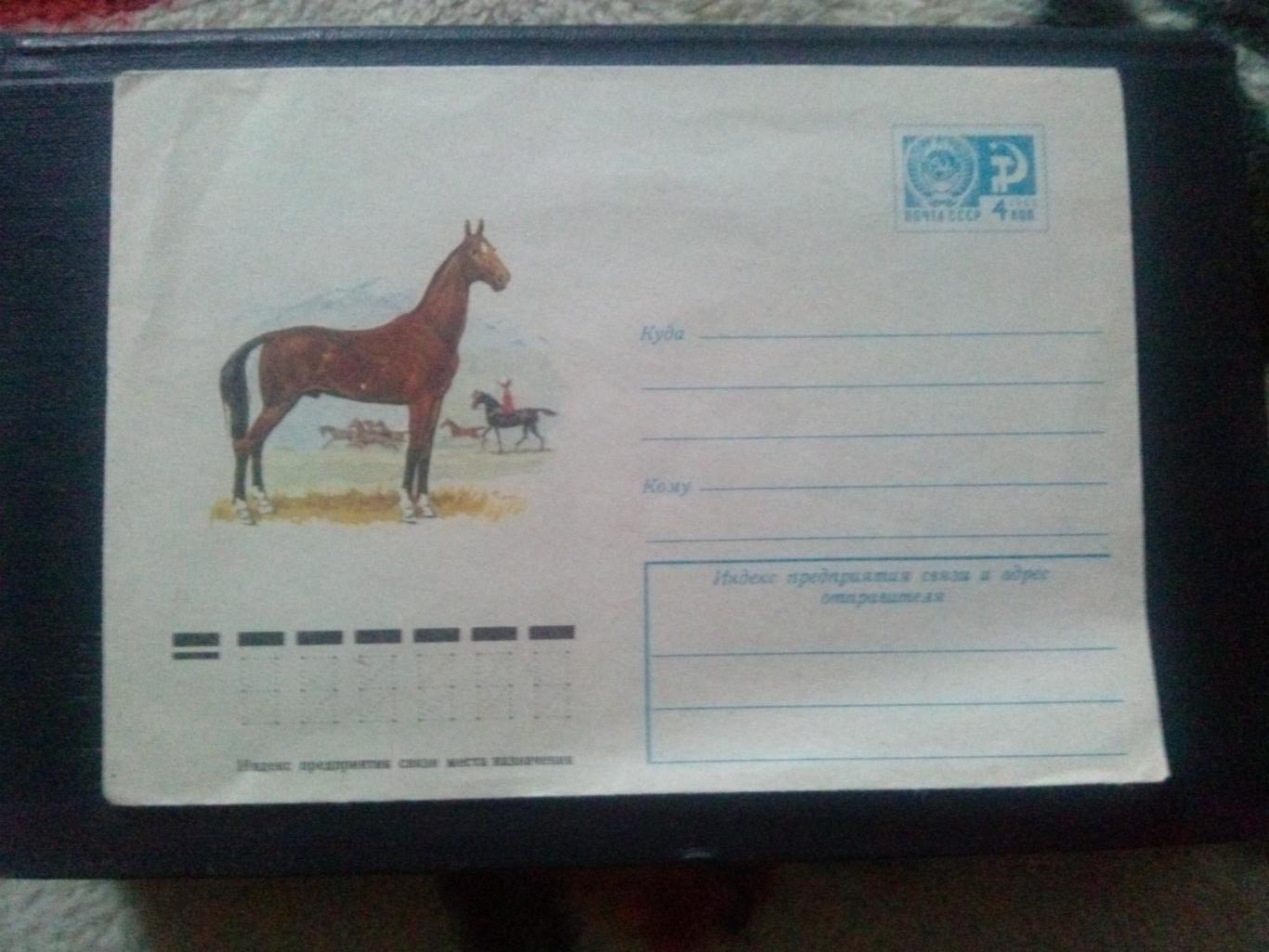 Художественный маркированный конверт : Лошадь ахал - текинской породы 1977 г.