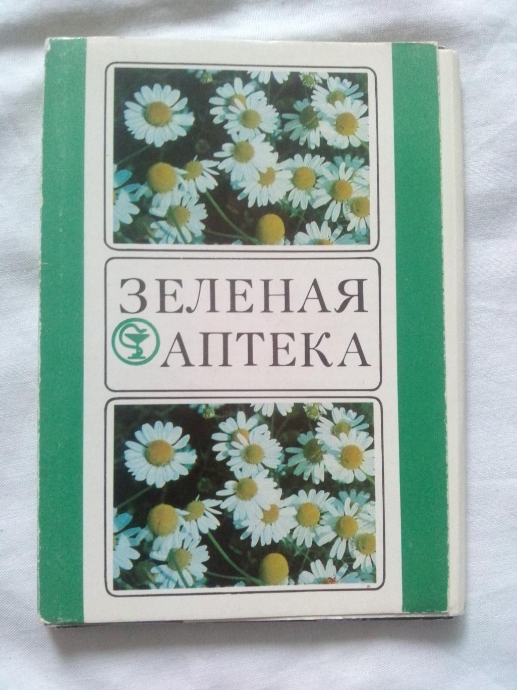 Зеленая аптека 1981 г. полный набор - 25 открыток (Лекарственные растения)