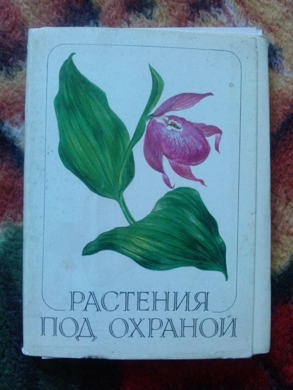 Растения под охраной 1981 г. полный набор - 32 открытки (чистые ) Флора