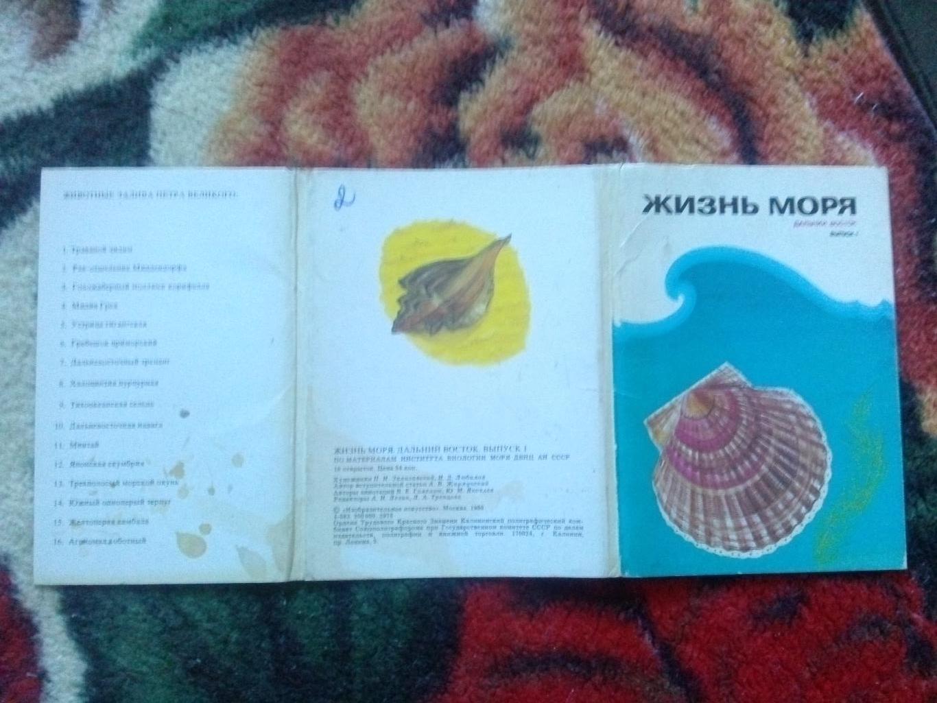 Жизнь моря (Дальний Восток) 1986 г. полный набор - 16 открыток (Рыба , моллюски) 1