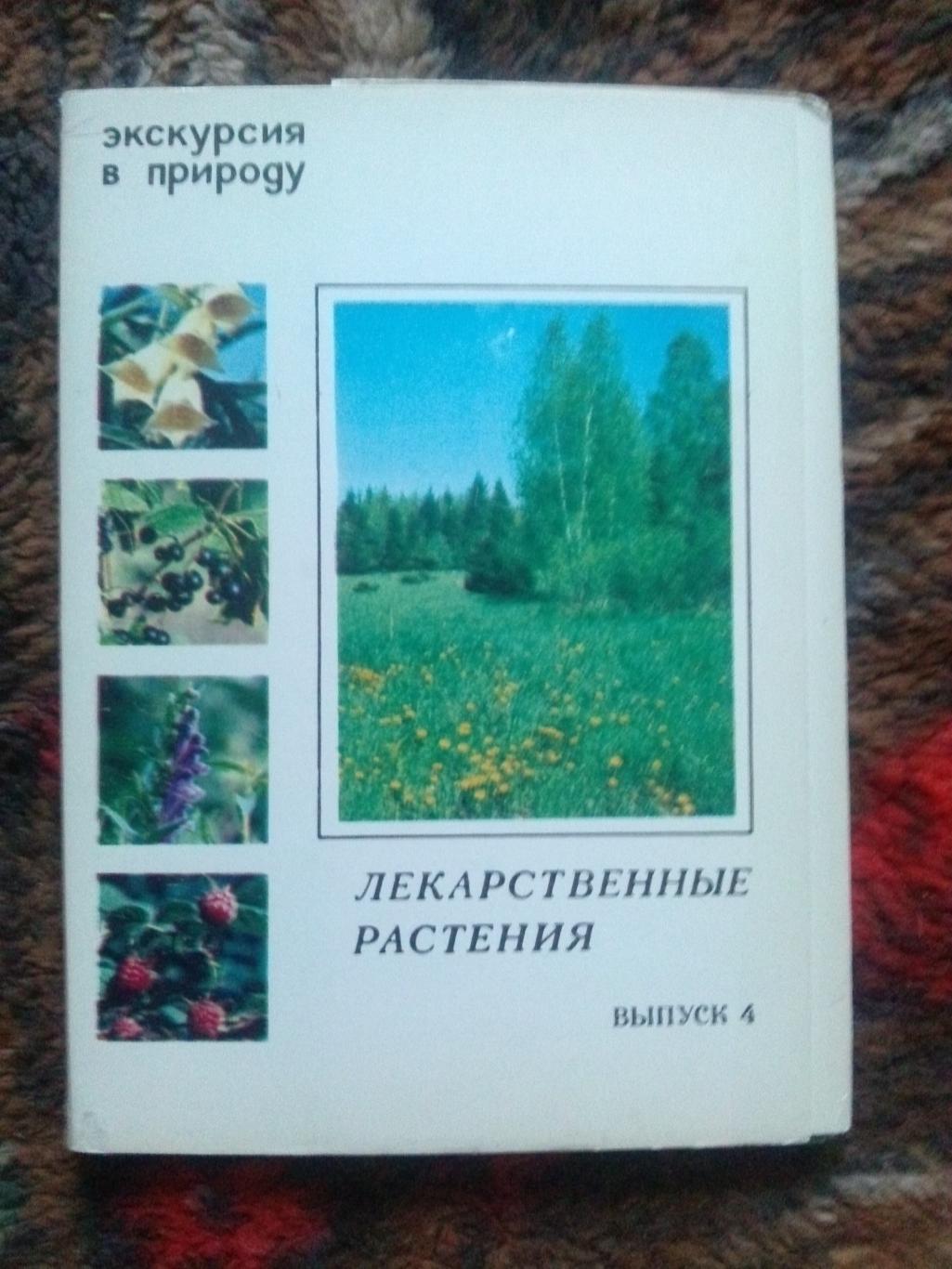 Экскурсия в природу 1980 г. полный набор - 25 открыток (Растения , флора , цветы