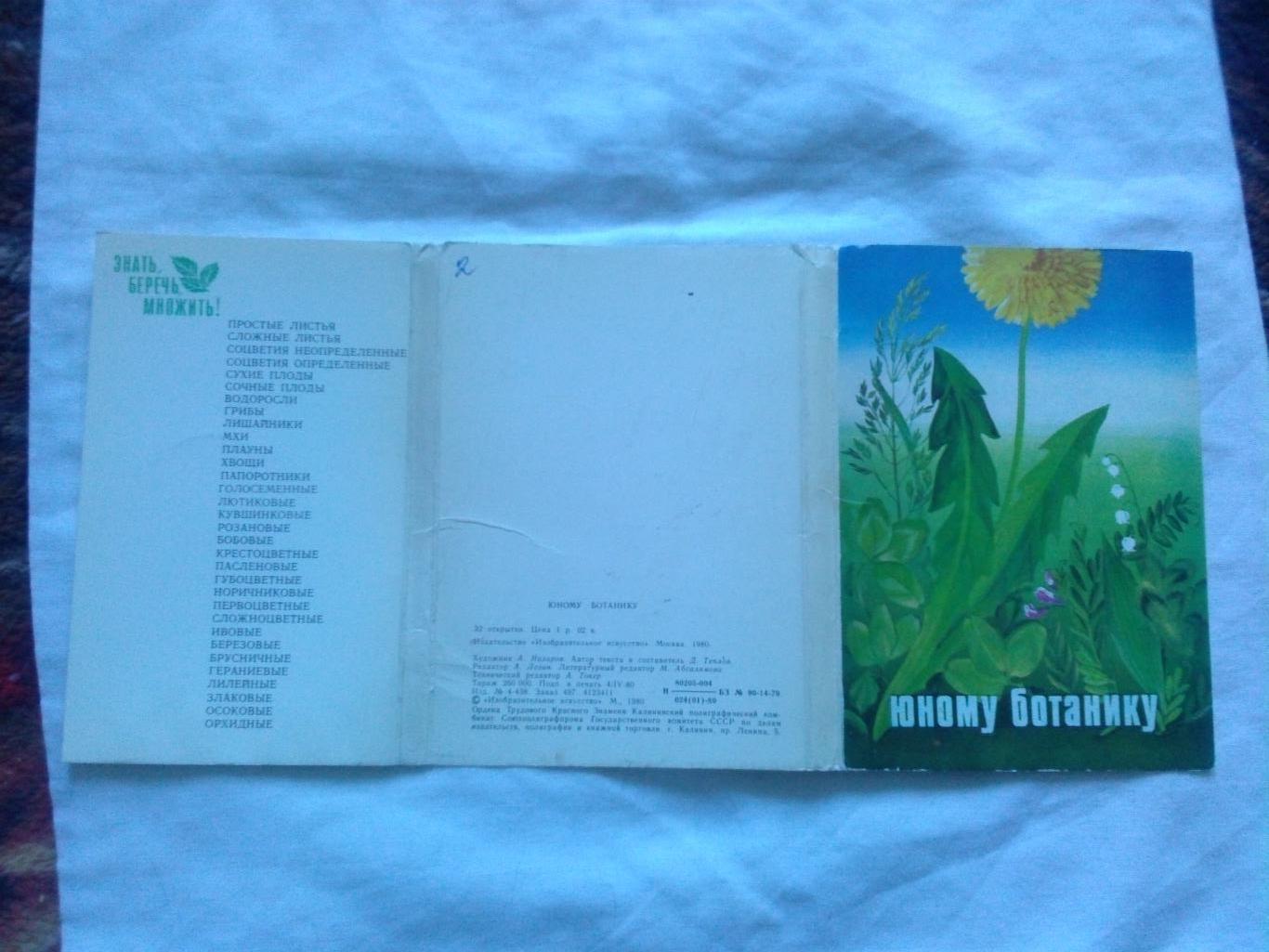 Юному ботанику 1980 г. полный набор - 32 открытки (чистые) Растения Флора 1