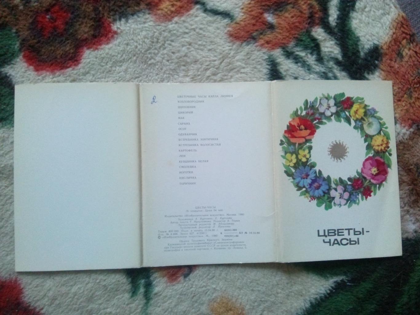 Цветы - часы 1980 г. полный набор - 16 открыток (чистые , в идеале) Растения 1