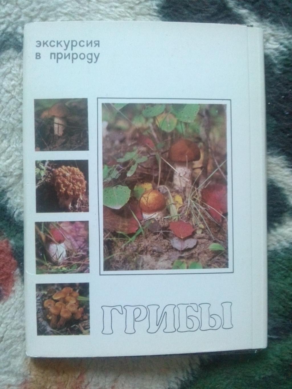 Экскурсия в природу : Грибы 1980 г. полный набор - 25 открыток (чистые) Флора