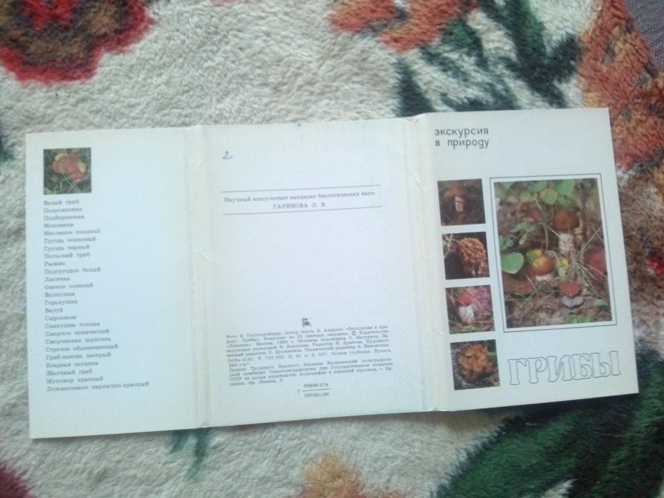 Экскурсия в природу : Грибы 1980 г. полный набор - 25 открыток (чистые) Флора 1
