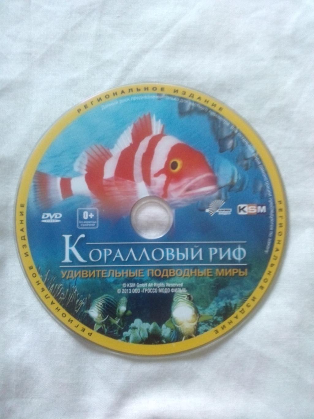 DVD Discovery : Коралловый риф - Удивительные подводные миры (Морская фауна) 3