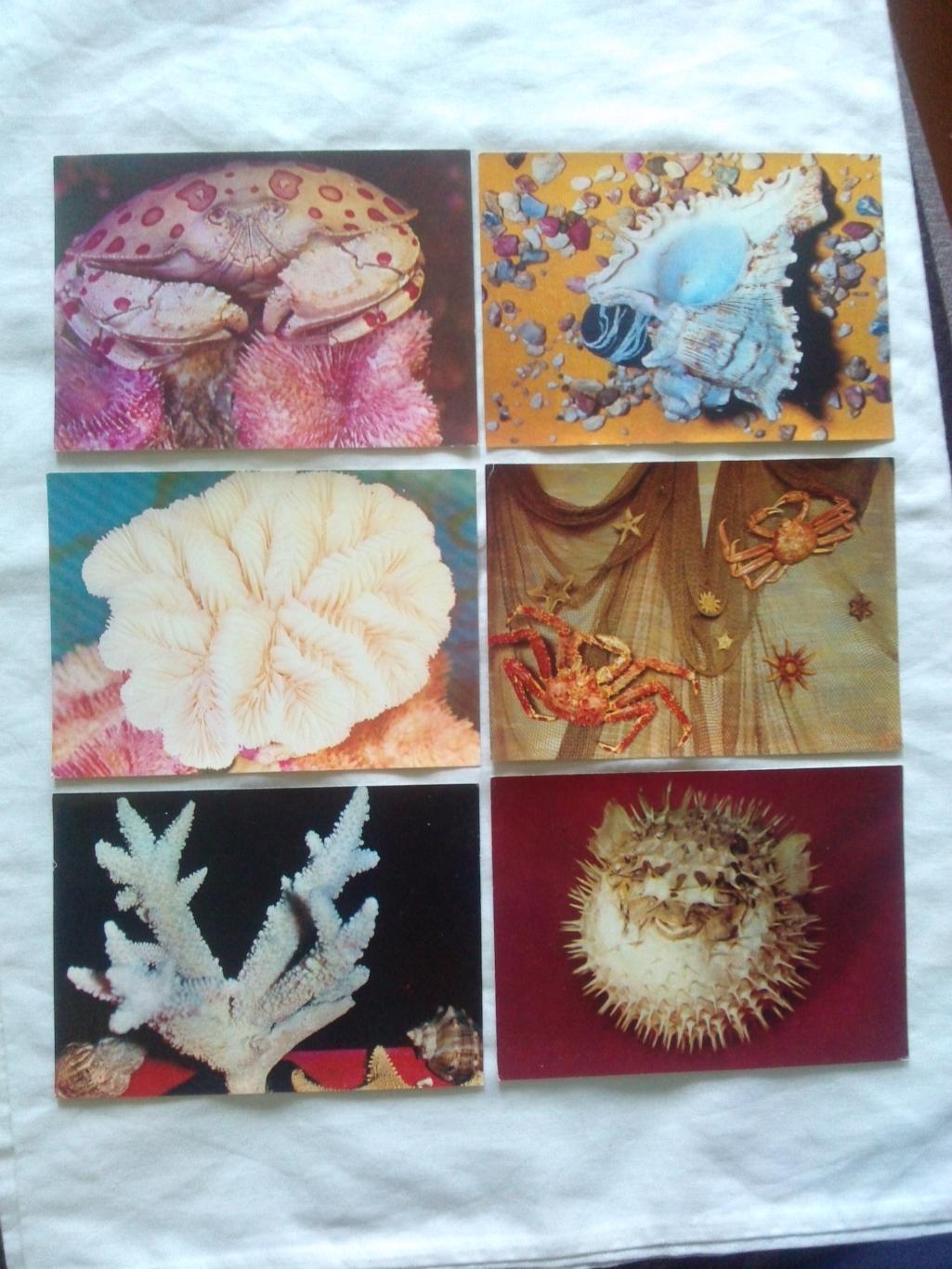Жизнь моря (Принесите океан домой) 1975 г. полный набор - 25 открыток (чистые) 2
