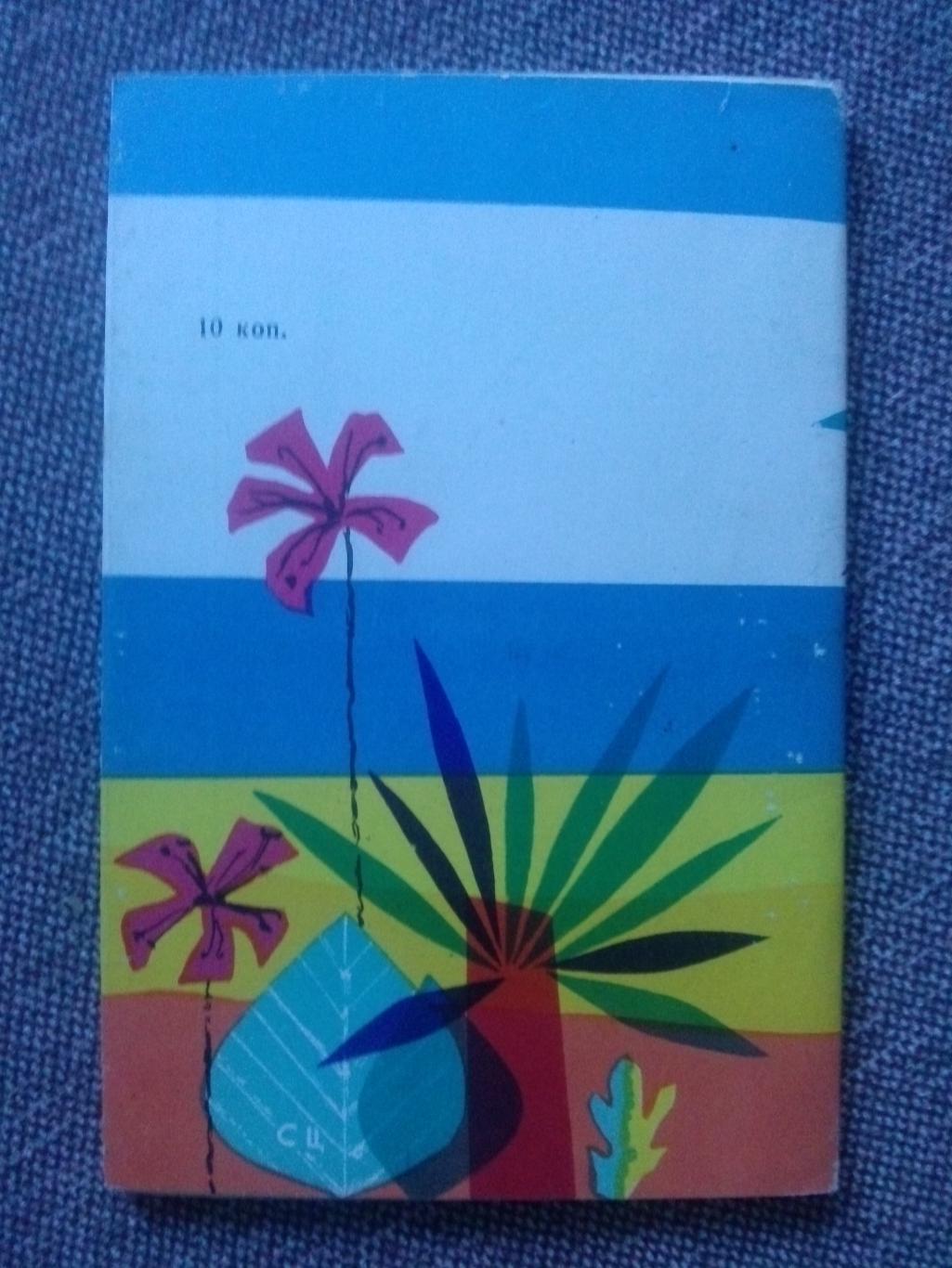 Путеводитель : Сочинский дендрарий 1962 г. (суперобложка) Сочи флора Кавказ 1