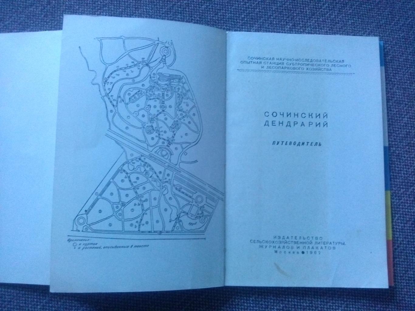 Путеводитель : Сочинский дендрарий 1962 г. (суперобложка) Сочи флора Кавказ 2