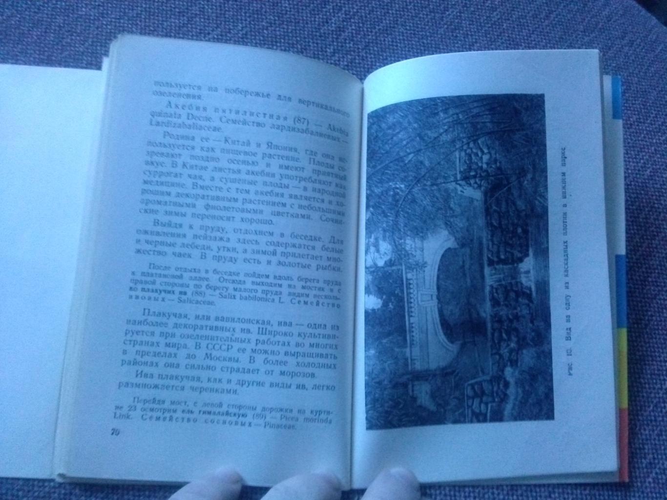 Путеводитель : Сочинский дендрарий 1962 г. (суперобложка) Сочи флора Кавказ 4