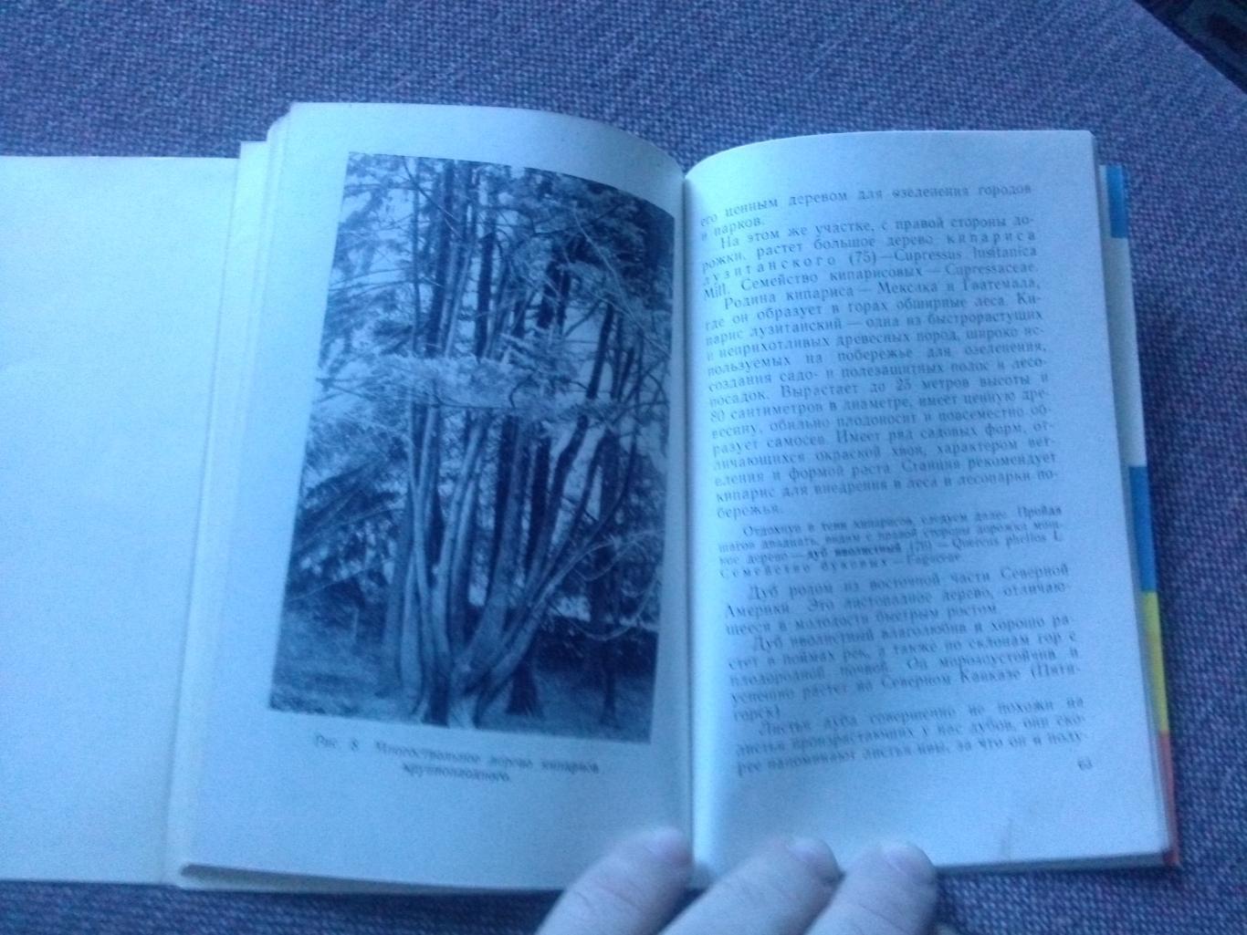 Путеводитель : Сочинский дендрарий 1962 г. (суперобложка) Сочи флора Кавказ 5