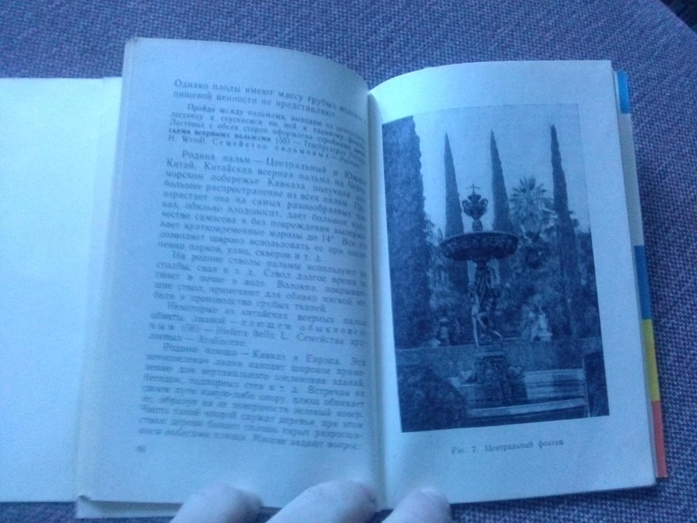 Путеводитель : Сочинский дендрарий 1962 г. (суперобложка) Сочи флора Кавказ 6