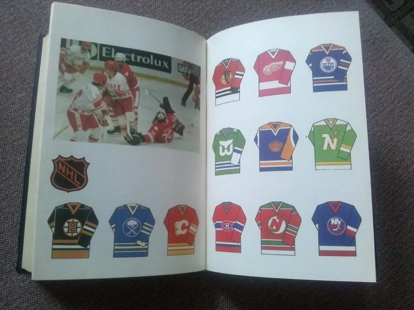 Энциклопедия хоккея 1990 г.ФиСХоккей с шайбой Спорт (Статистика и факты) 6