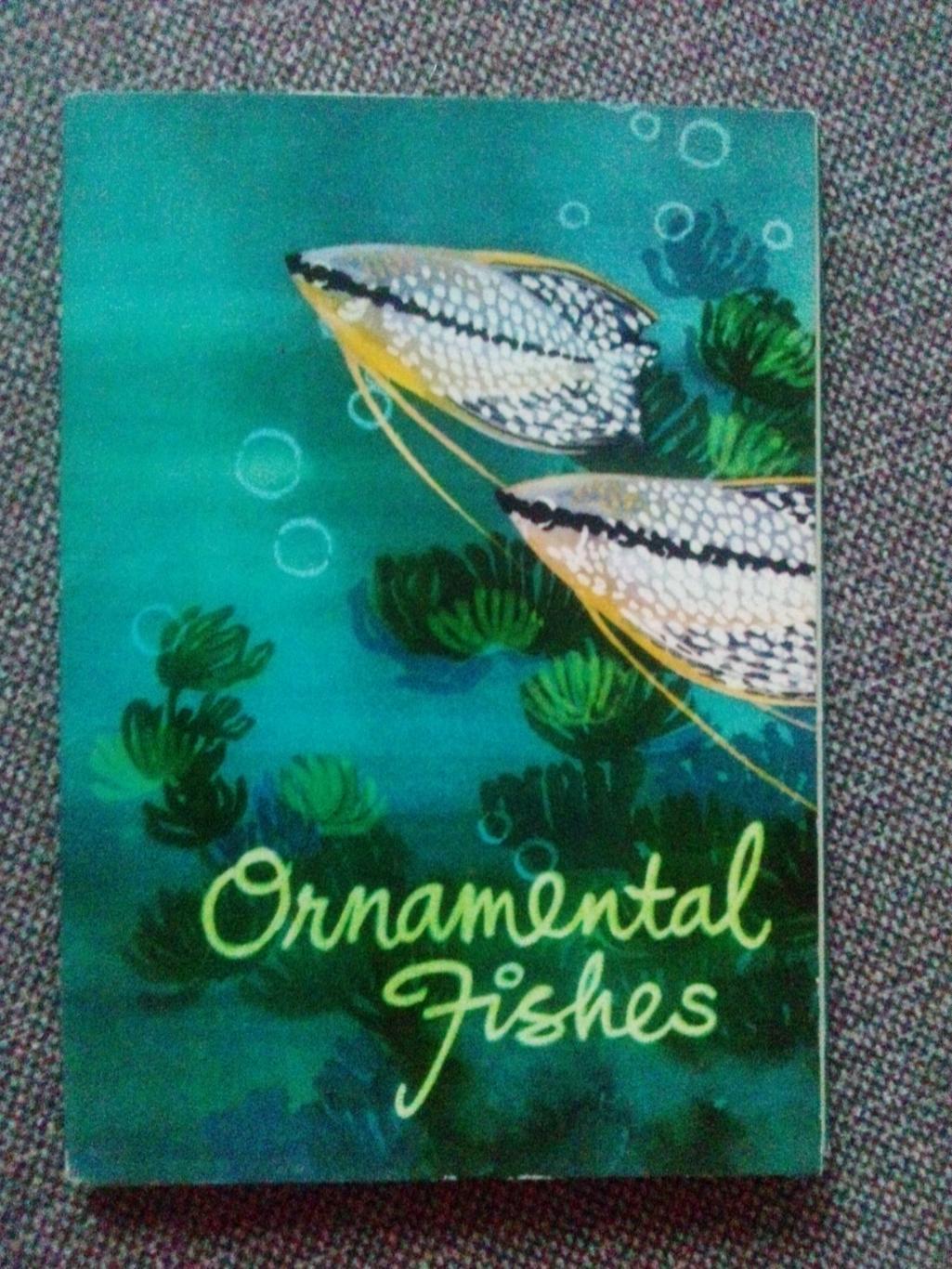Вьетнам : Ornamental Fishes (Аквариумные рыбки) 80 - е годы полный набор
