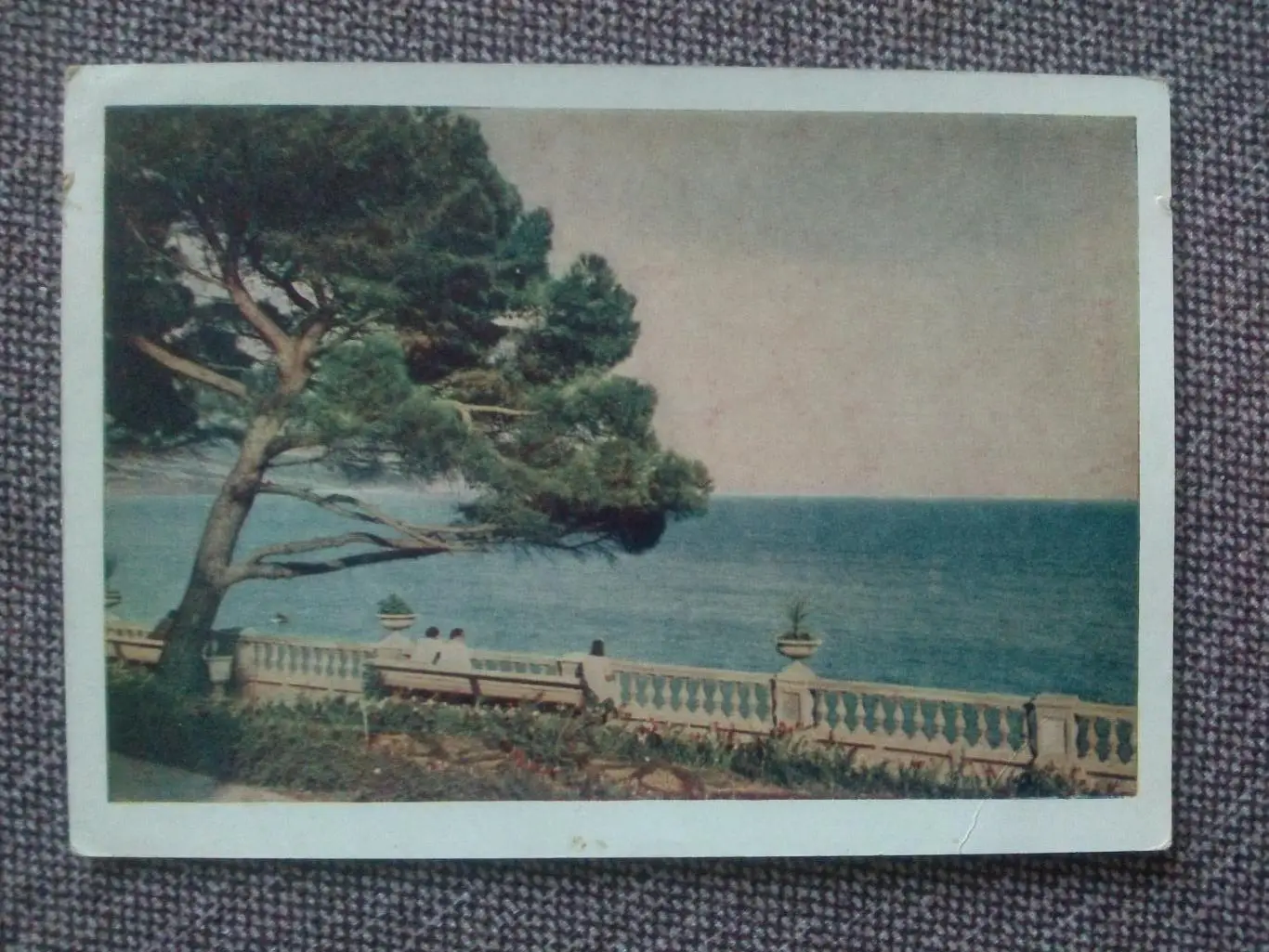 Почтовая карточка (открытка) : Ялта. Вид на море 1954 г. Крым (с маркой)