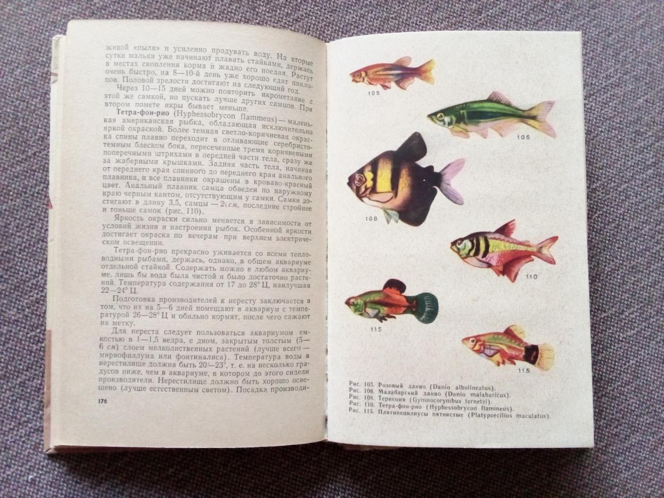 Комнатный аквариум 1965 г. (Аквариумные рыбки - разведение и содержание) 6