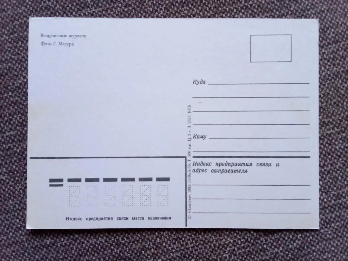 Венценосные журавли 1983 г. (почтовая) Птицы , фауна 1