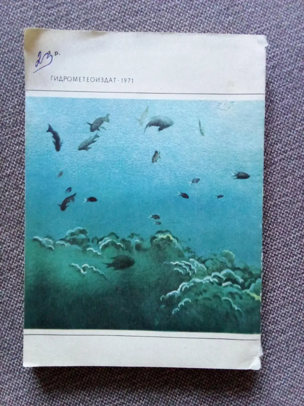 Рэмон Вэсьнер - Человек и подводный мир 1971 г. (Дайвинг , подводное плавание) 1