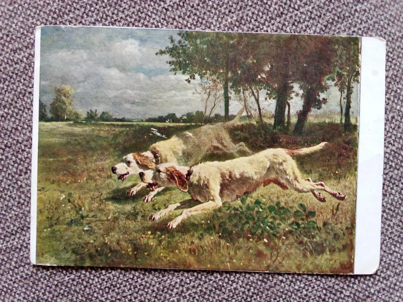 Почтовая карточка (открытка) : К. Тройон - Собаки на охоте 1930 г. (Гознак)