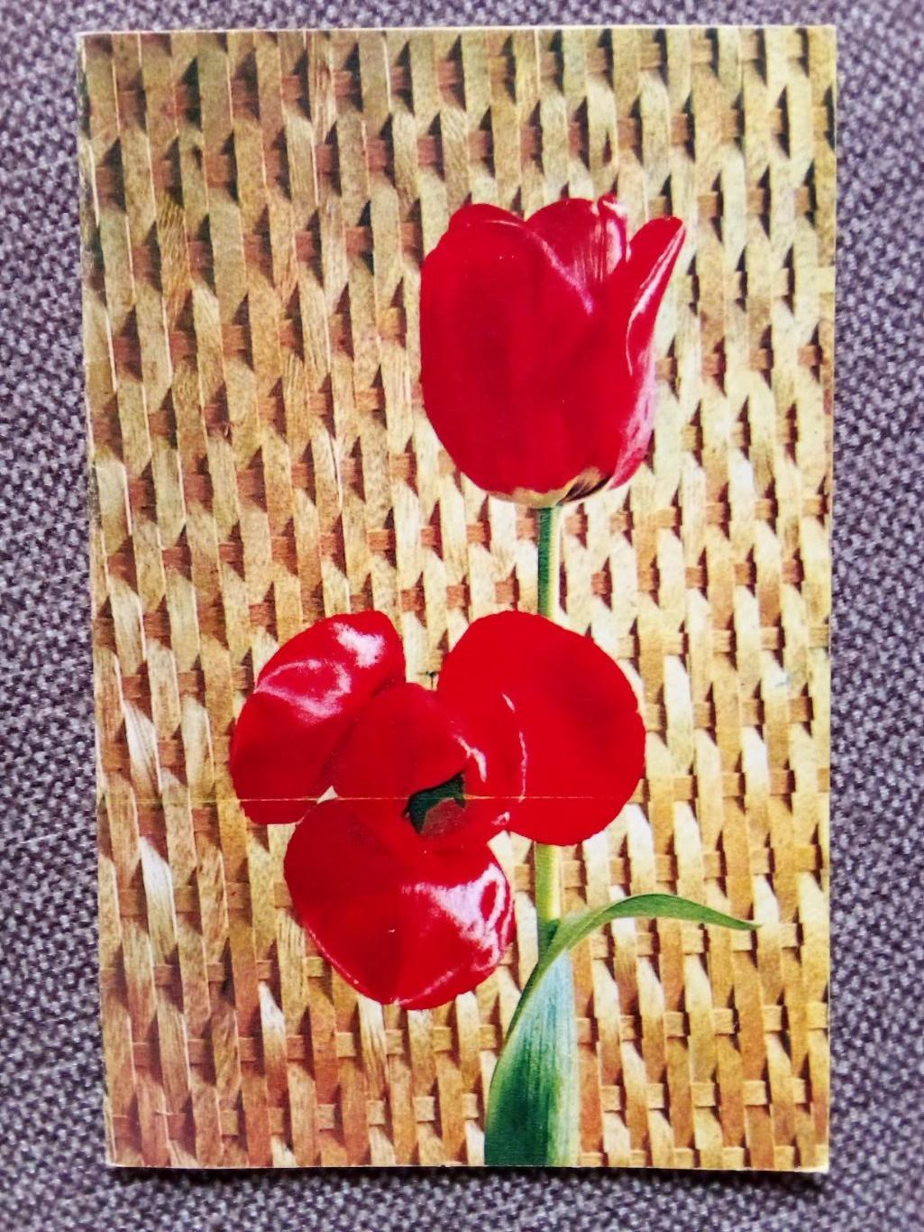 С праздником 8 марта ! 1970 г. с разворотом ( Цветы , тюльпаны , флора )