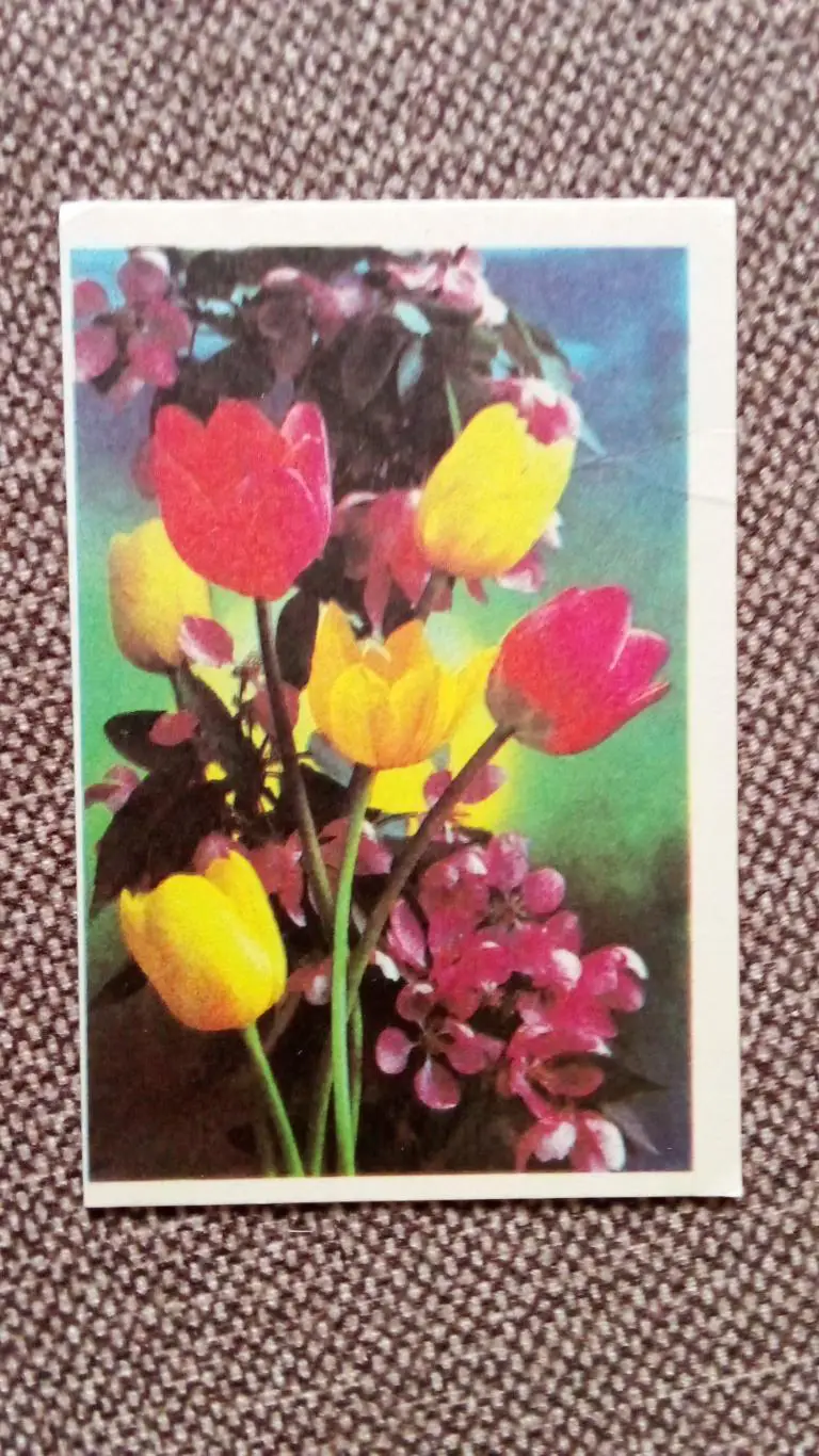 Карманный календарик : Букет цветов 1986 г. (Цветы , флора , растения)