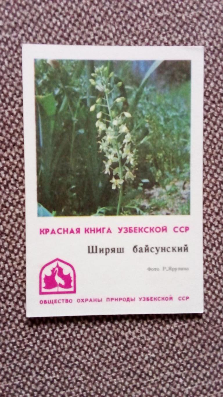 Карманный календарик : Красная книга Узбекской ССР 1982 г. Ширяш байсунский