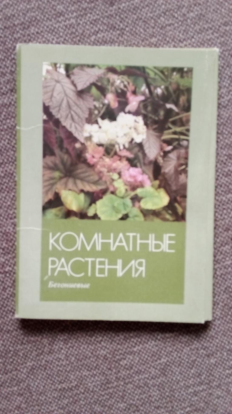 Комнатные растения (Бегониевые) 1987 г. полный набор - 16 открыток (чистые)