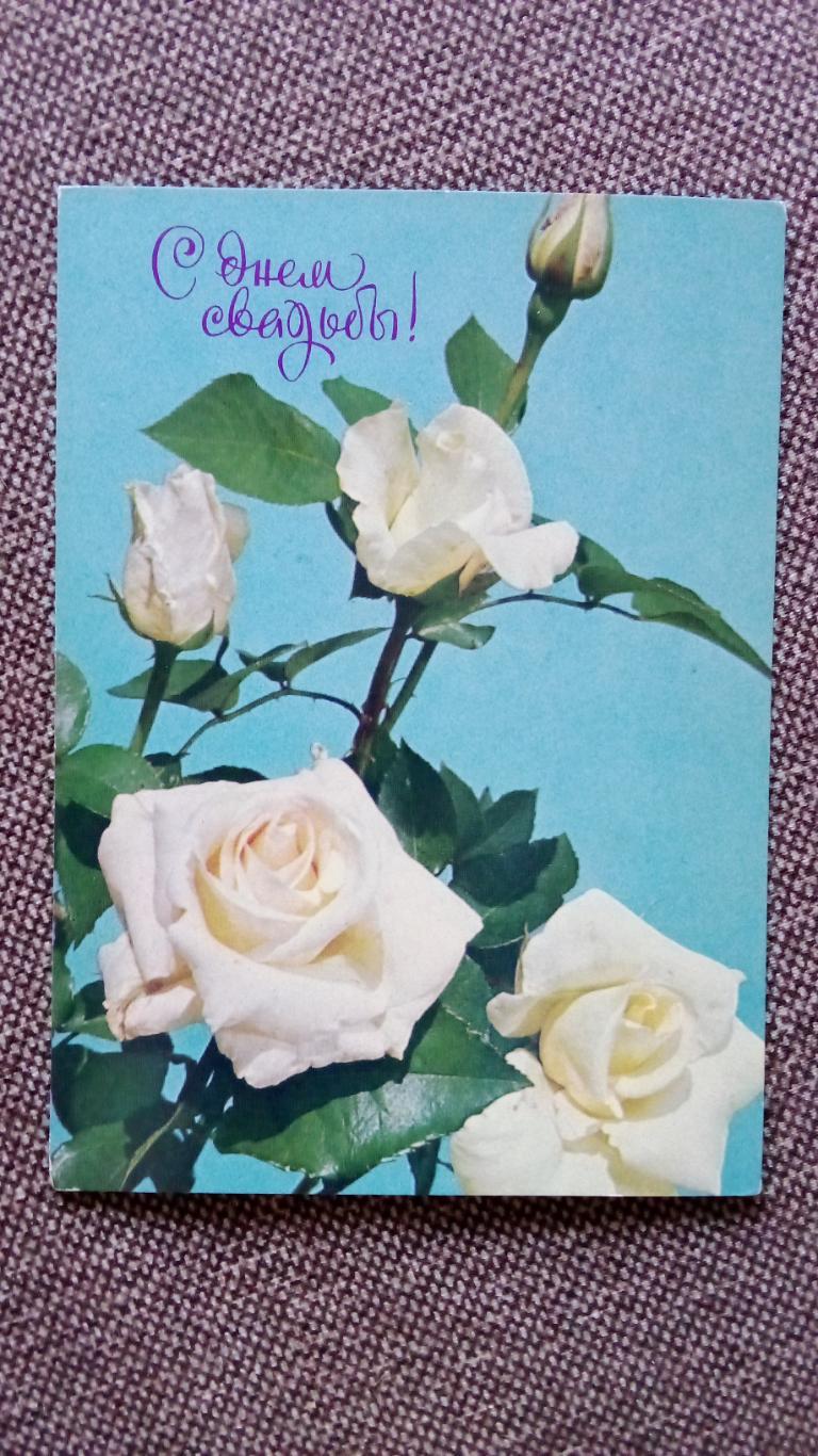 С днем свадьбы ! 1977 г. Поздравительная Букет роз (Розы , цветы) почтовая