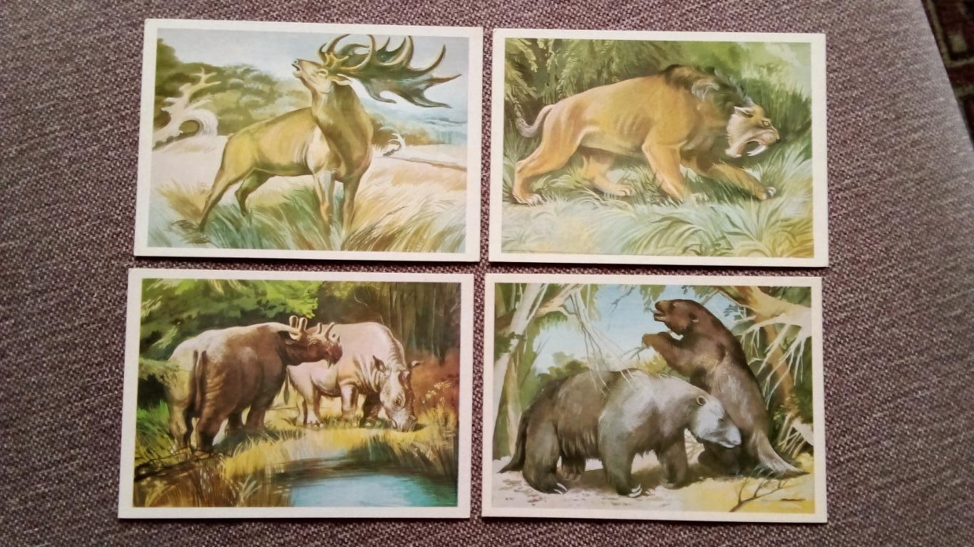 Из глубины веков : Динозавры (Выпуск № 3) полный набор - 16 открыток (Животные) 4