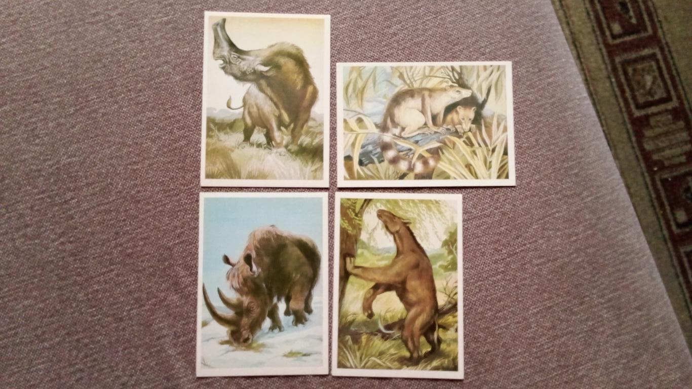 Из глубины веков : Динозавры (Выпуск № 3) полный набор - 16 открыток (Животные) 5