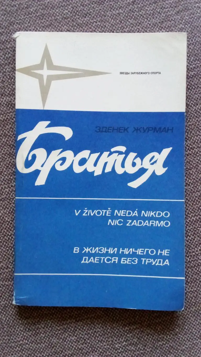 З. Журман - Братья 1984 г. Иржи и Ярослав Холики (Чехословакия) Спорт Хоккей