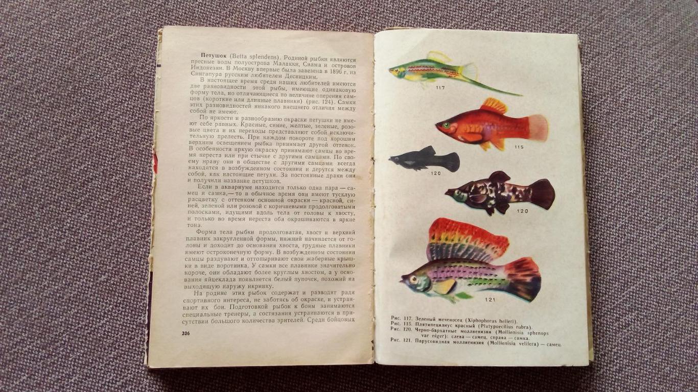 Комнатный аквариум 1965 г. (Аквариумные рыбки - разведение и содержание) 7