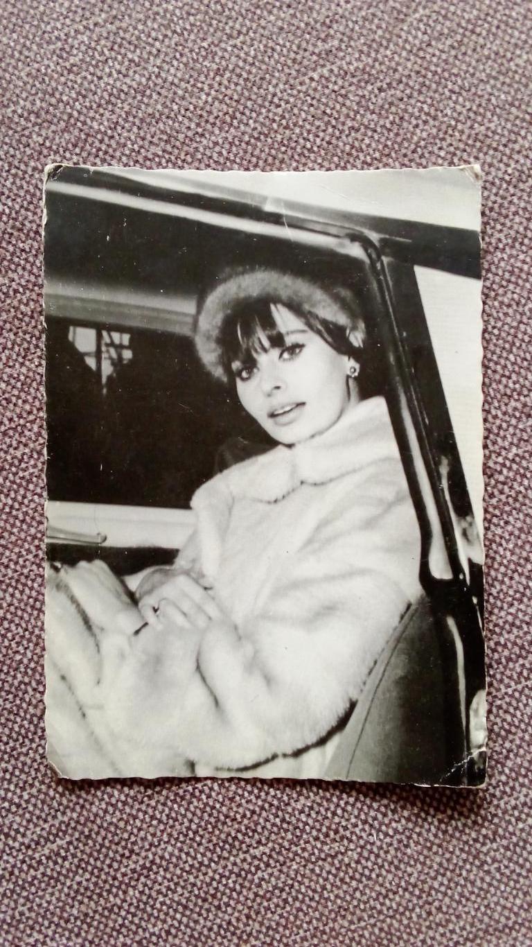 Актеры и актрисы зарубежного кино и театра : Софи Лорен (Италия) 60 - е годы