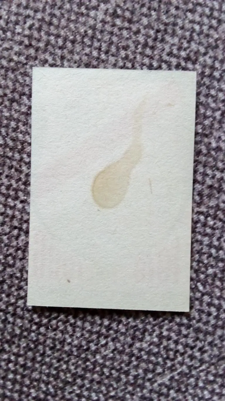 Спичечные этикетки (Спички) : Футбольный клубЛегияПольша Футбол Спорт 1