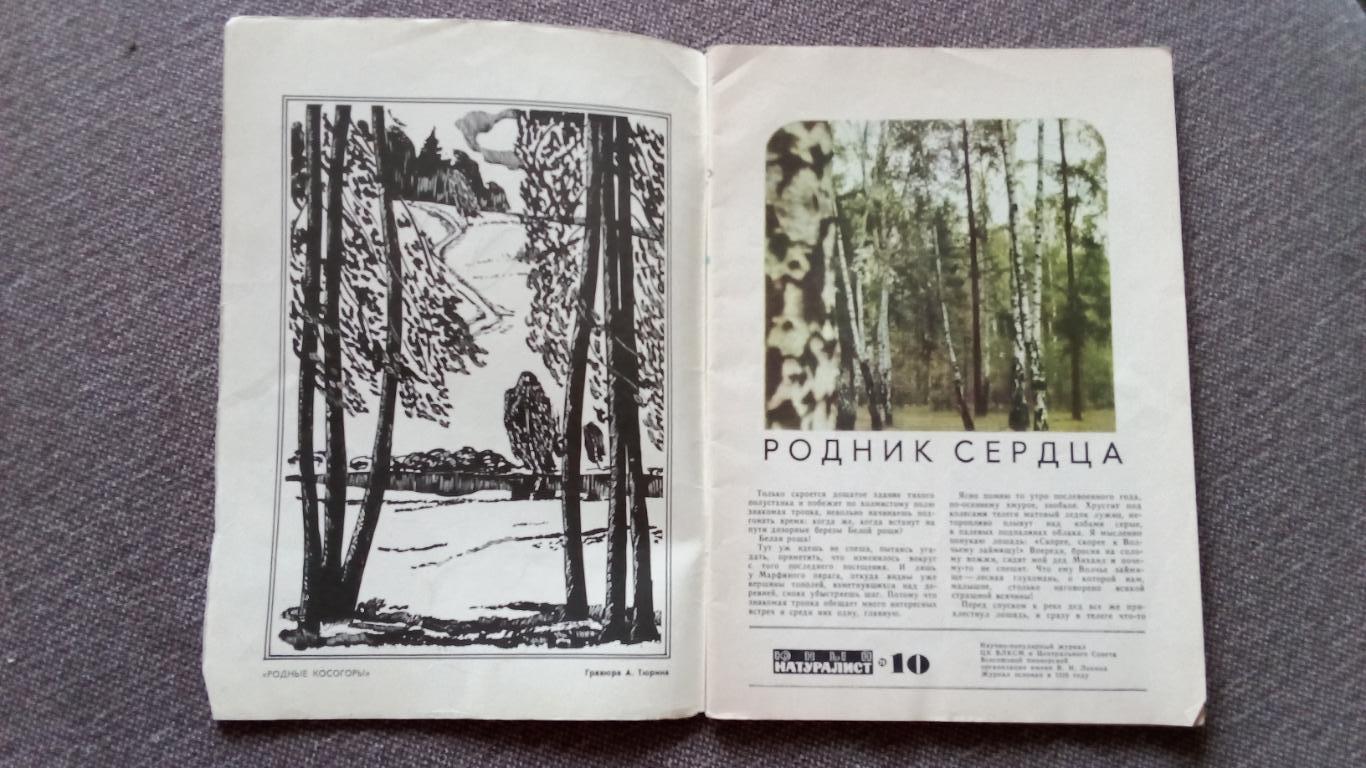 Журнал СССР : Юный натуралист № 10 (октябрь) 1971 г. (Флора и фауна , животные 3