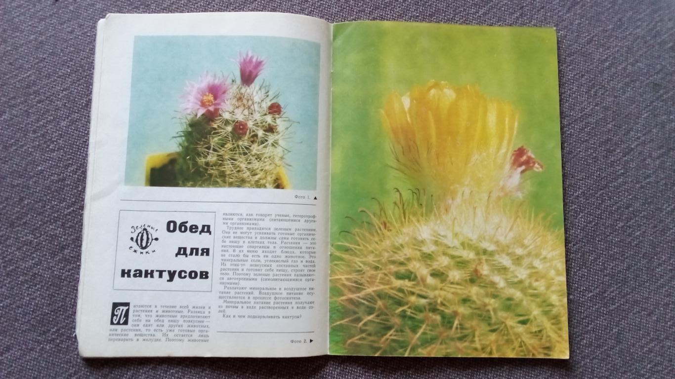 Журнал СССР : Юный натуралист № 10 (октябрь) 1971 г. (Флора и фауна , животные 7