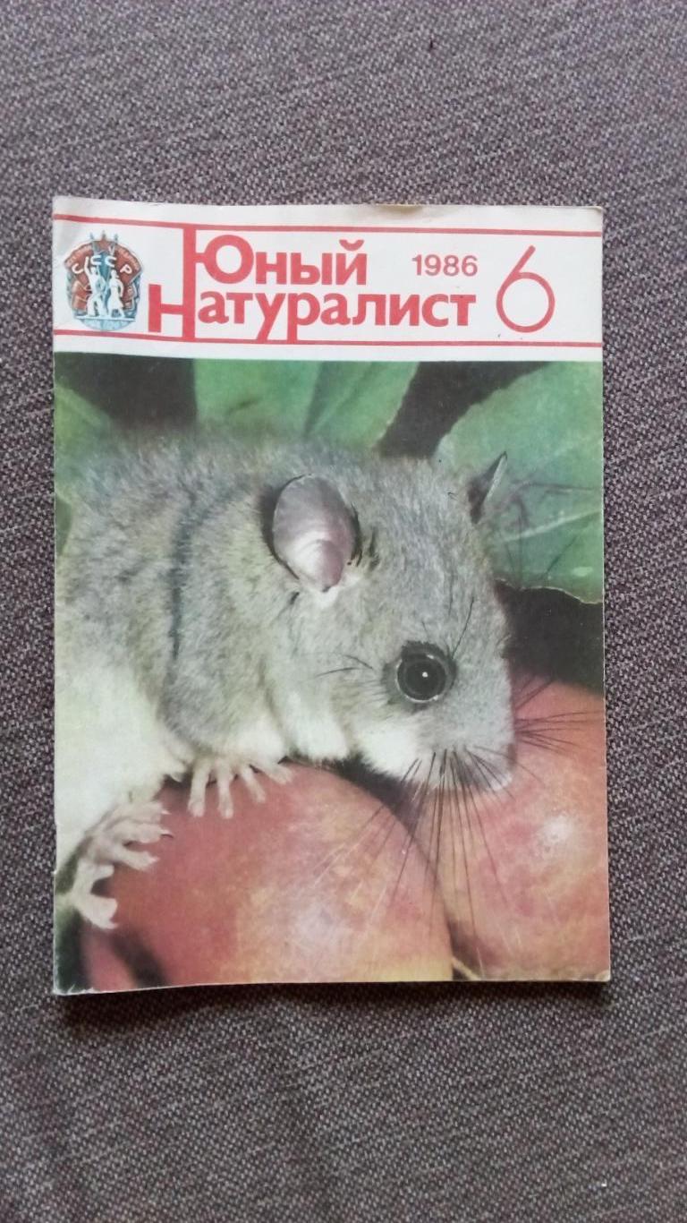 Журнал СССР : Юный натуралист № 6 (июнь) 1986 г. (Флора и фауна , животные)