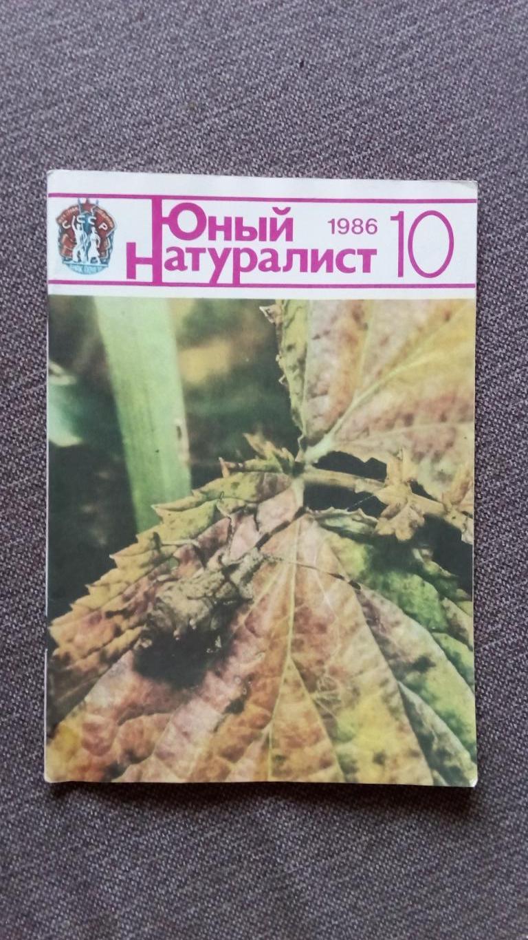 Журнал СССР : Юный натуралист № 10 (октябрь) 1986 г. (Флора и фауна , животные