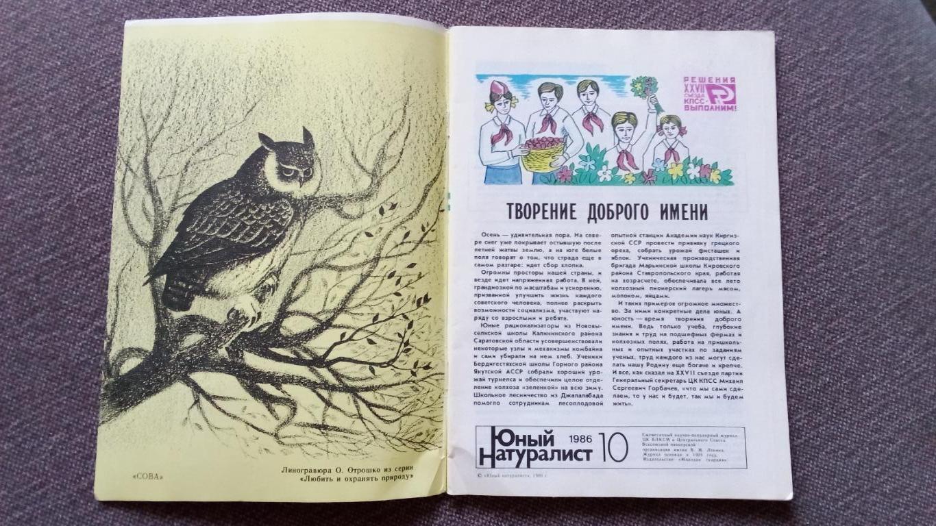 Журнал СССР : Юный натуралист № 10 (октябрь) 1986 г. (Флора и фауна , животные 2