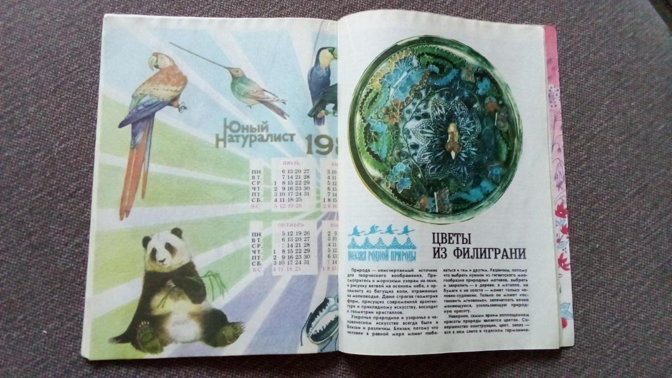 Журнал СССР : Юный натуралист № 12 (декабрь) 1986 г. (Флора и фауна , животные 5